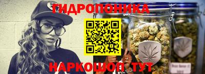 мяу мяу мука Будённовск