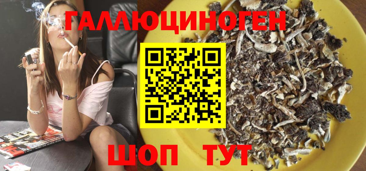 Павлово  Псилоцибиновые грибы Psilocybe  Вход с VPN 