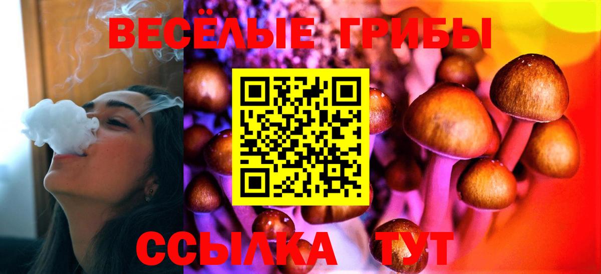 Псилоцибиновые грибы Magic Shrooms Павлово